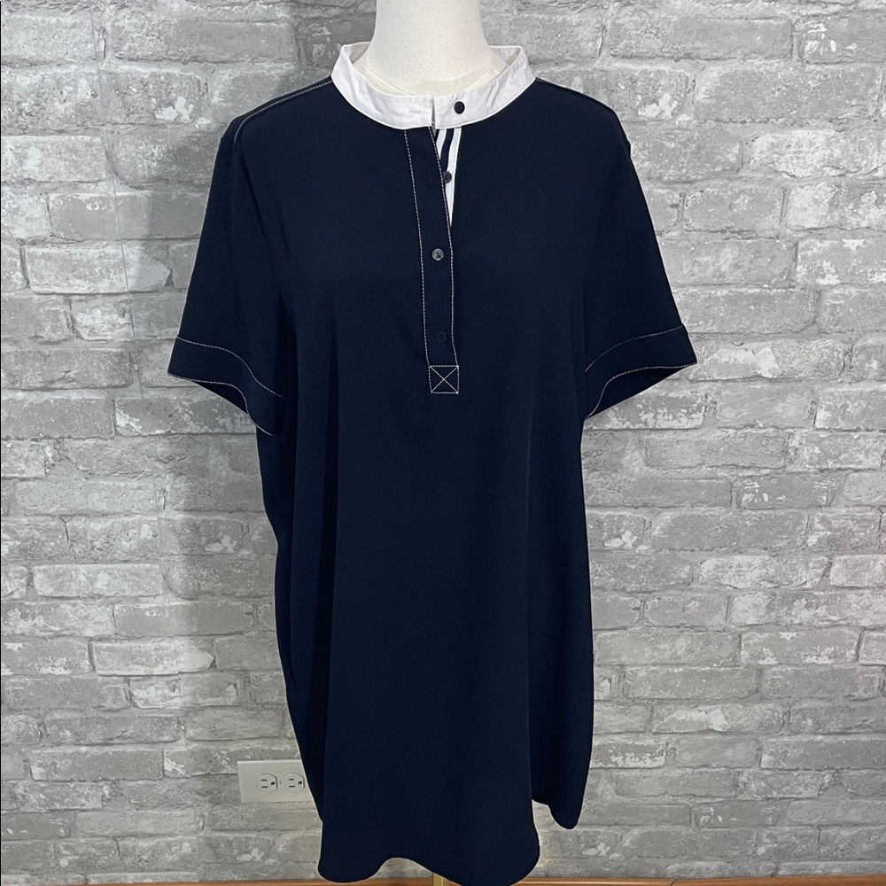Zara Basics Black and White Collar Dress